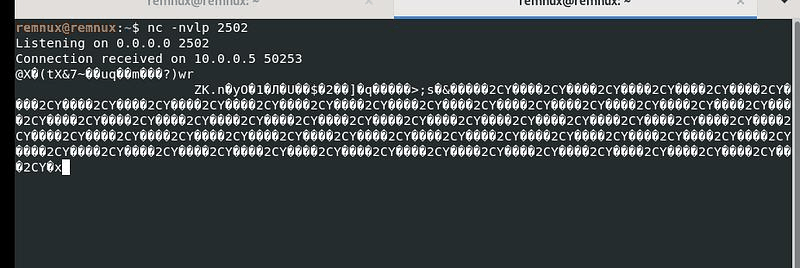 Netcat listener receiving heartbeat packets
